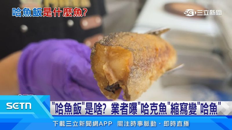 哈克魚刺少、肉多