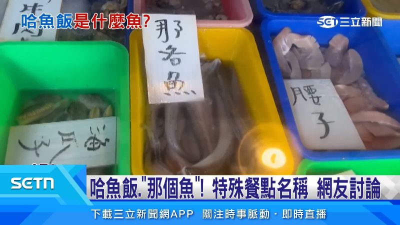 東港特產「那個魚」也曾備受關注
