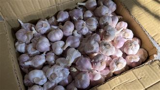 貪小便宜！彰化男「偷7顆蒜頭」賠8000元