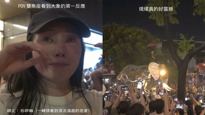 女星朝聖巨象感動哭 哭喊:這是藝術