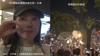 女星朝聖巨象感動哭　哭喊：這是藝術