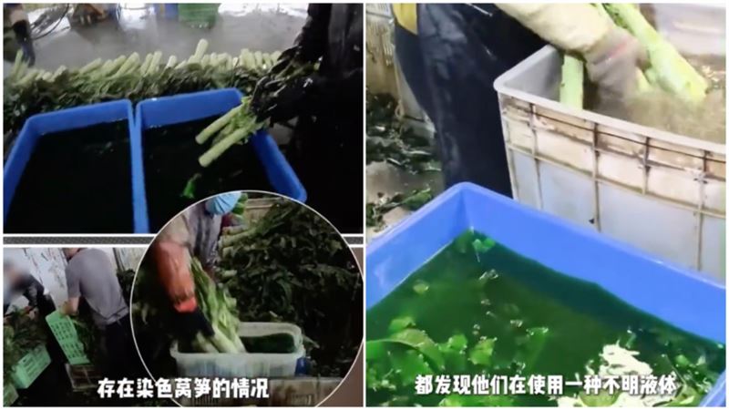 繼河北甲醛白菜後　甘肅出現染色嫩莖萵苣