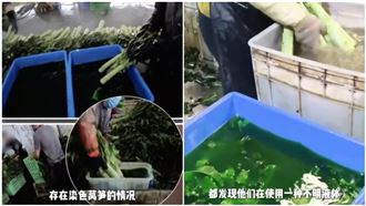 繼河北甲醛白菜後　甘肅出現染色嫩莖萵苣
