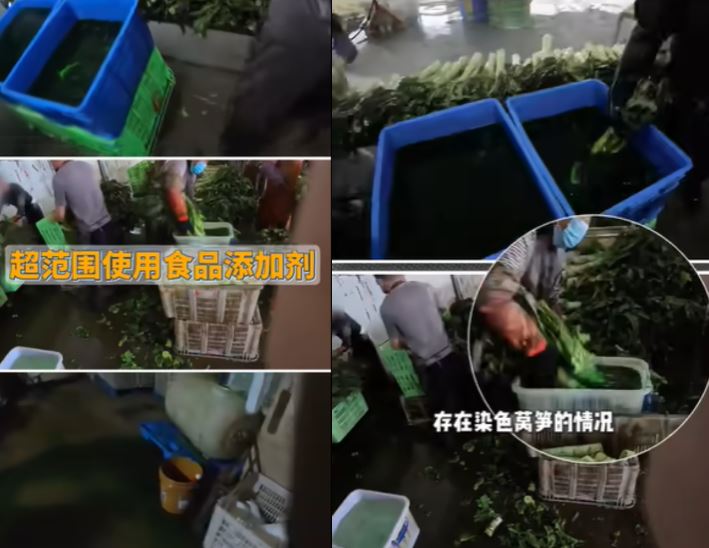 中國部落客「大雷的食品科普日常」,指出走訪榆中縣多處蔬菜收購、倉儲場所時,發現有人以不明液體浸泡萵筍(A菜心),懷疑是為了改善外觀。(圖/翻攝自大雷的食品科普日常B站)