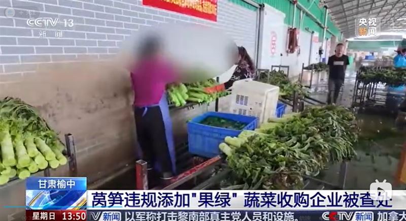 中國再爆食安爭議,甘肅蘭州榆中縣驚傳業者替萵筍(A菜心)「上色」。(圖/翻攝自B站)