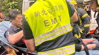 新／天雨路滑！新北動保處公務車自撞電桿