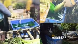 綠得發亮竟是假的！中國萵筍遭抓包染色