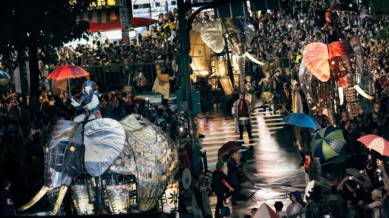 「大象來了」2天狂吸15萬人齊聚街頭狂歡