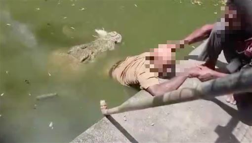 飼養員遭鱷魚拖下水「纏鬥1小時」慘死