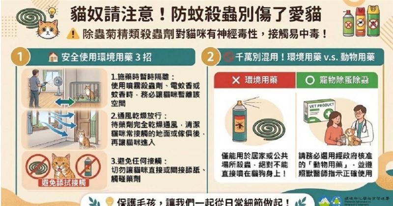 防範貓咪中毒,化學署籲飼主謹慎使用除蟲菊精類環境用藥,並增列安全警語。(圖/環境部)