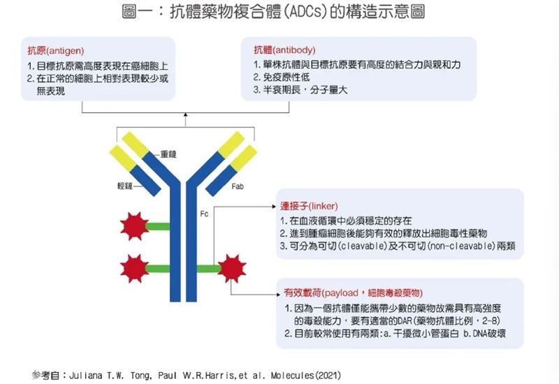 好消息!百年前預言成真!名醫張金堅曝「魔術子彈」精準殺癌驚人真相。(圖/張金堅醫師提供)