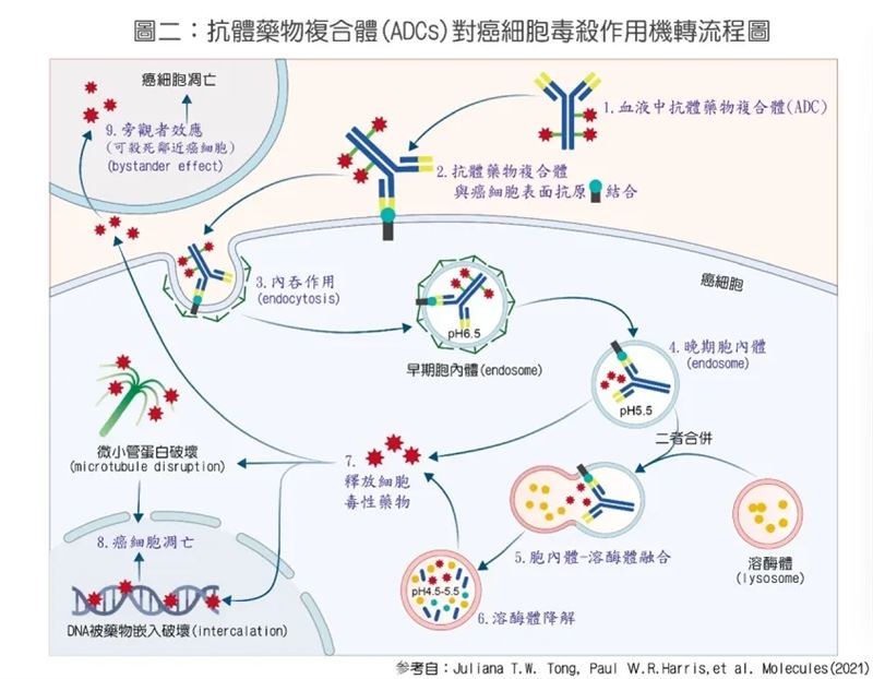 好消息!百年前預言成真!名醫張金堅曝「魔術子彈」精準殺癌驚人真相。(圖/張金堅醫師提供)