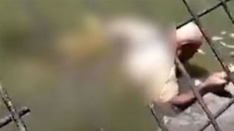 餵鱷魚遭咬腿拖下水亡！最後喊「1句話」