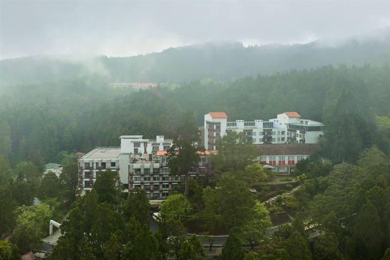 阿里山賓館海拔2274公尺360度森林環景視野。（圖／飯店旅宿業者提供）