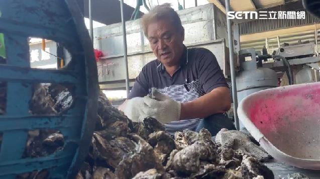 豪雨釀災！北門蚵「延遲死亡」中秋恐搶貨