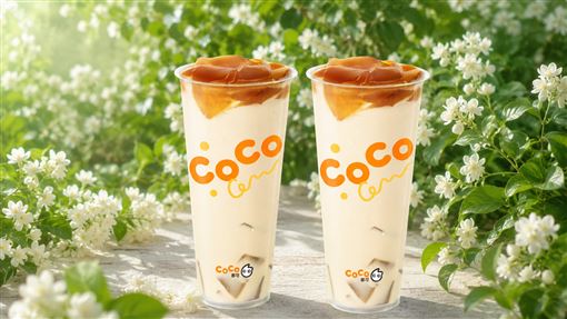 茉香凍奶綠。（圖／CoCo都可提供)