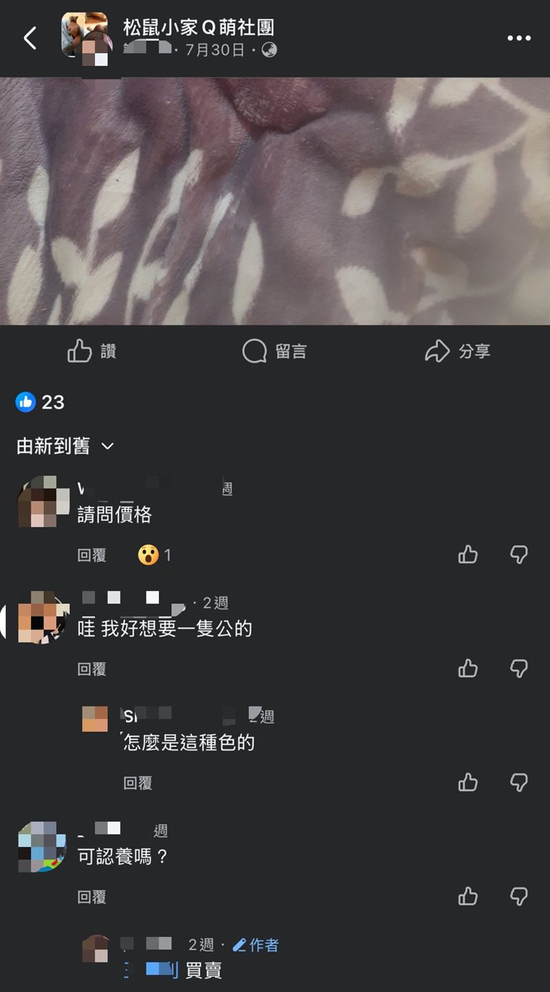 社團內松鼠買賣留言。（圖／翻攝畫面）