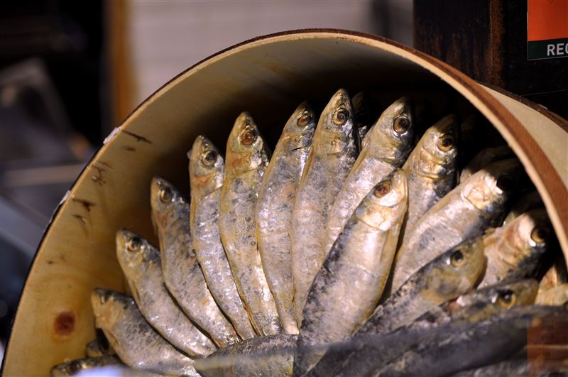 研究發現,每週多吃2罐沙丁魚,一年後糖尿病極高風險比例大降;鯖魚、秋刀魚也富含Omega-3,可作替代選擇。(示意圖/PIXABAY)