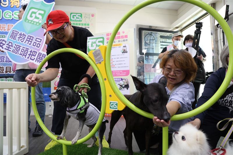 選擇GS安全標章認證的寵物用品更安心。(圖/翻攝自新北市動保處官網)