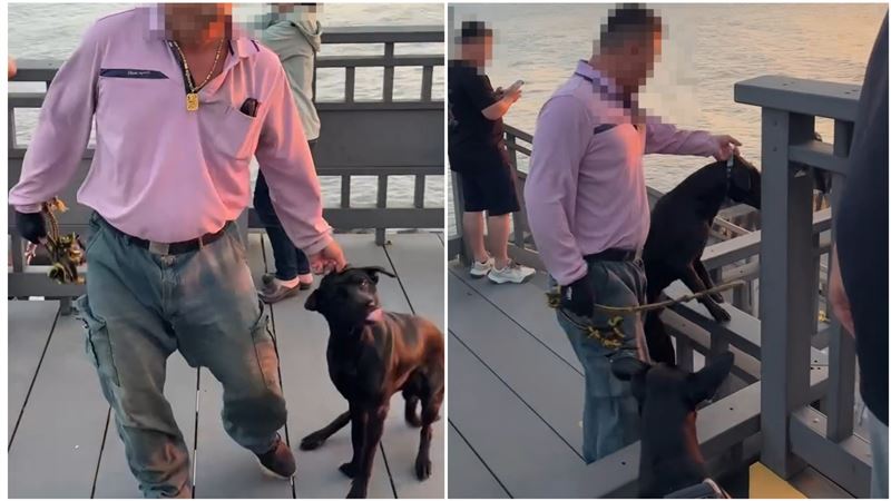 黑狗疑似聞到母狗味道發情,遭飼主拖行抽打,畫面曝光引發網友撻伐。(圖/翻攝自竹南大小事臉書)