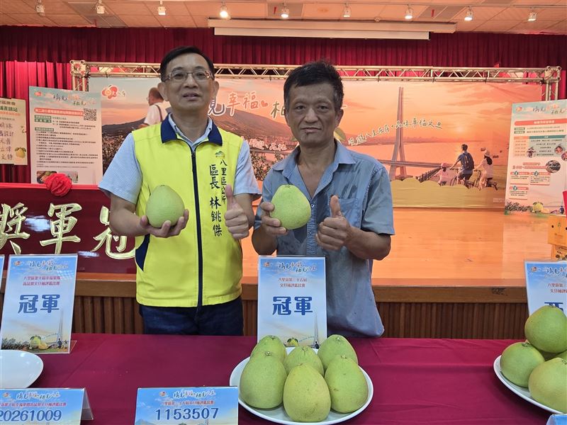八里文旦柚評鑑出爐,第35屆文旦柚評鑑暨第10屆幸福果饌評鑑雙喜臨門。(圖/淡水區公所提供)