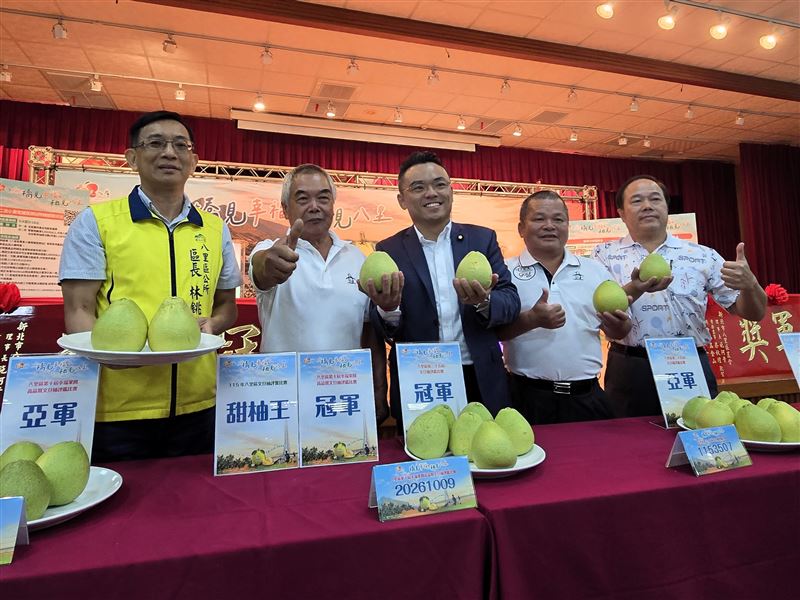 八里文旦柚評鑑出爐,第35屆文旦柚評鑑暨第10屆幸福果饌評鑑雙喜臨門。(圖/淡水區公所提供)