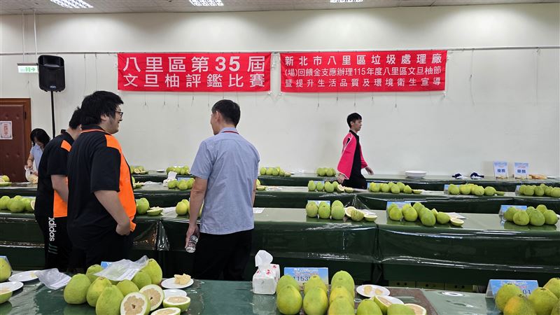 八里文旦柚評鑑出爐,第35屆文旦柚評鑑暨第10屆幸福果饌評鑑雙喜臨門。(圖/淡水區公所提供)