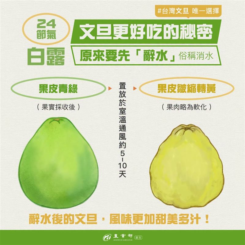 農業部表示，新鮮文旦放5~10天能增添風味。（圖／翻攝自農業部臉書）