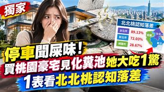 買桃園豪宅！她見「化糞池」竟大吃1驚