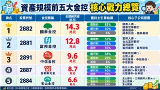 玉山金躍第5大！5大金控靠什麼賺錢一次看