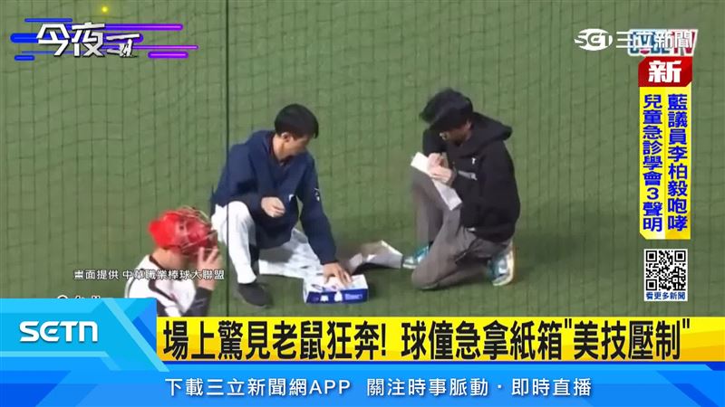 大巨蛋驚見老鼠衝進場內狂奔,比賽一度中斷,場邊球僮立刻拿紙箱出動。(圖/翻攝自中華職業棒球大聯盟)