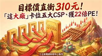 這大廠卡位五大CSP　目標價直奔310元