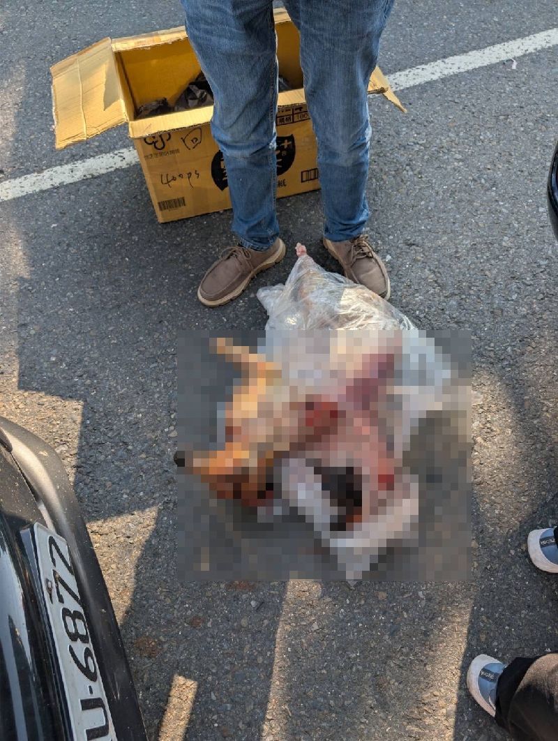 越南籍陳姓男子透過不明人士取得已屠宰的台灣長鬃山羊且在網路販售，經民眾發現報案，陳男於民國114年11月間現身交易時遭逮，警方查扣證物並將人送辦。（翻攝照片）