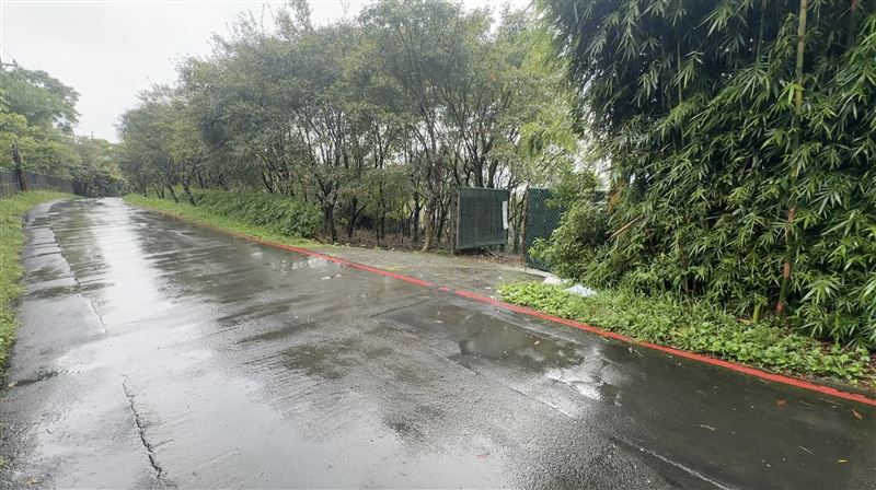 鄭女遭周男勒斃後,被棄屍在平菁街的產業道路草叢內。(圖/翻攝畫面)