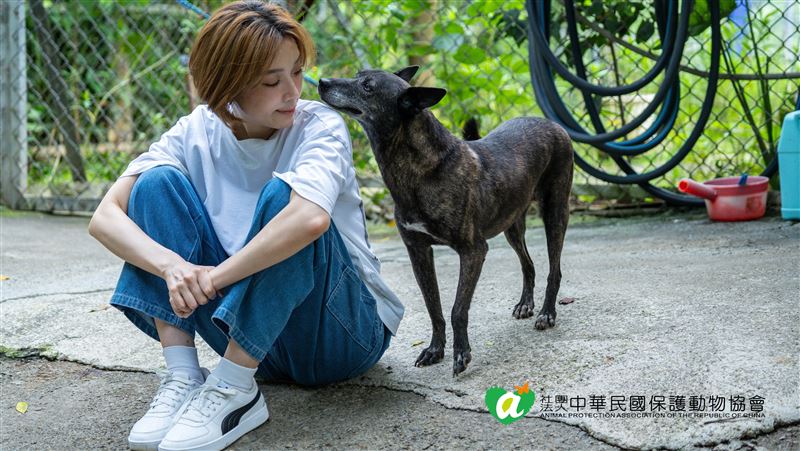 蔡淑臻童年創傷！流浪臘腸舔下巴瞬間認命