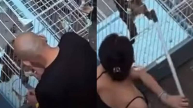 新竹爆虐貓　男女「鎖籠持桿猛戳」畫面曝