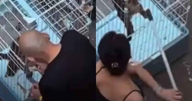 新竹縣流浪動物珍愛協會在社群平台發布的貼文影片顯示，一名男子將貓咪關在籠內並鎖住出口後，另一名女子則拿著桿狀物不斷朝籠內猛戳。（圖／翻攝社團法人新竹縣流浪動物珍愛協會臉書）