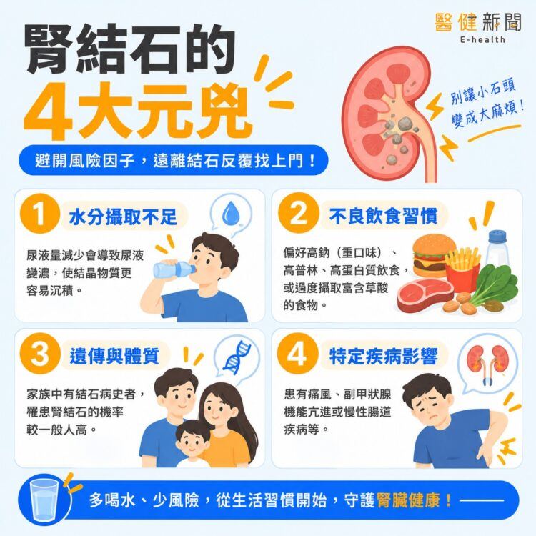 愛吃火鍋、少喝水當心「石頭」找上門！ 泌尿科醫揭腎結石「4大元兇」。（圖／醫健新聞網提供）