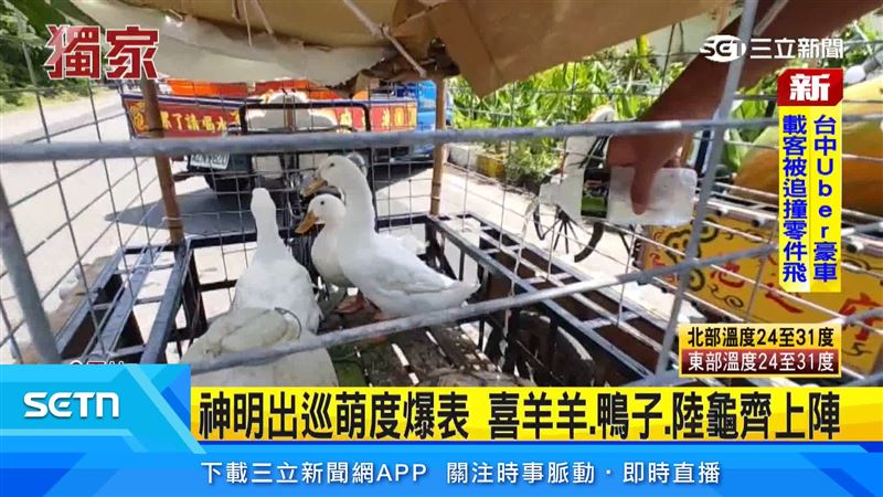 麥寮池巡府遶境出現超萌「動物陣頭」!成為新亮點