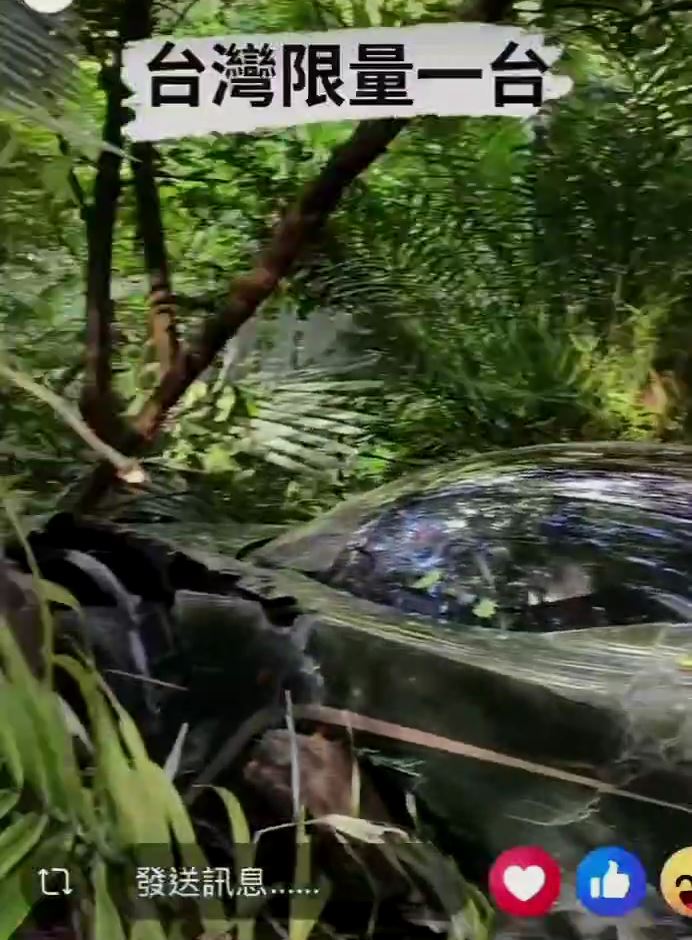 義大利Dallara Stradale跑車從斜坡滑下深約百公尺的山谷。(圖/翻攝畫面)