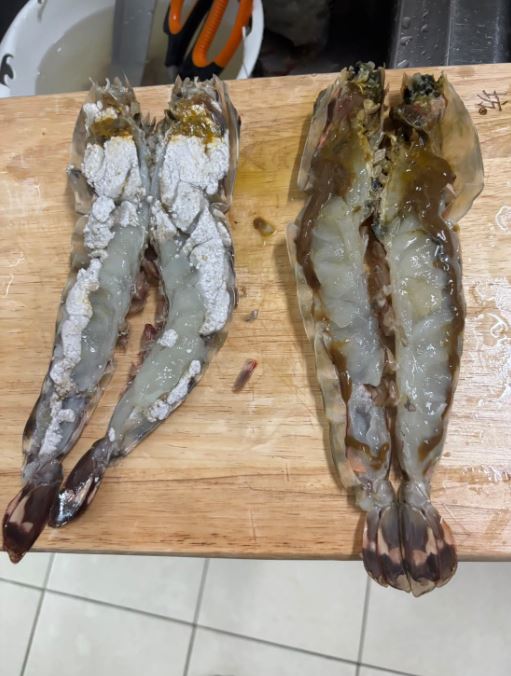 民眾到宜蘭大溪漁港購買虎蝦，剖開料理時，左邊這隻蝦肉大面積呈現灰白色，與右邊正常的蝦肉明顯不同，引發食安疑慮。（圖／翻攝自Threads @sun_sheena）