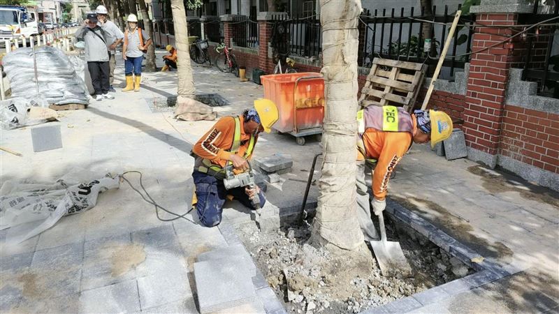 北市爆水泥封樹　鍾小平稱：廠商工人疏忽
