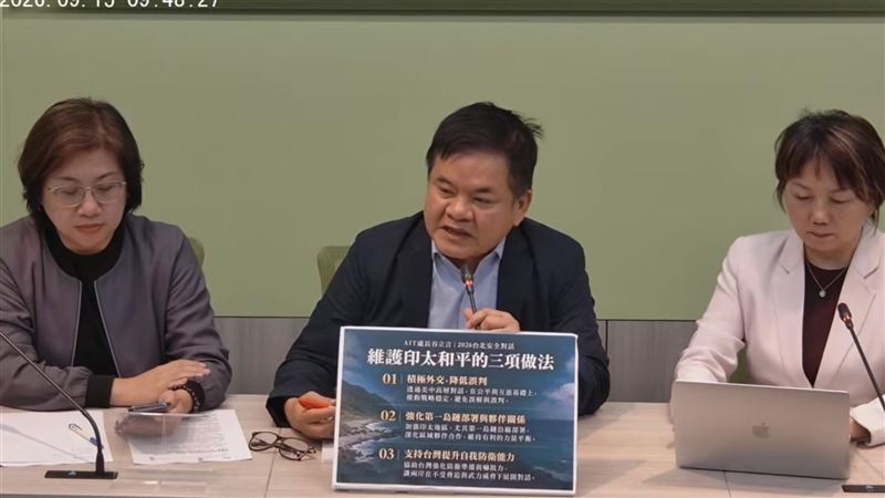 陳翠蓮批黨外被偷換概念！綠：是指鄭麗文