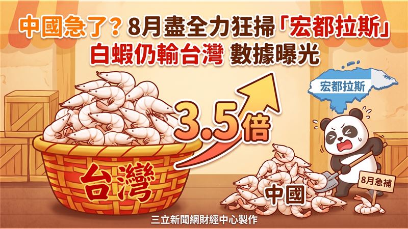 宏都拉斯蝦農無懼中國市場的准入障礙，今年一到八月產量強勢增長，成功帶動巨額外匯收入。歐盟與墨西哥成為宏國養殖蝦的最強後盾，反觀中國市場進口量不到百萬磅，對比之下極為諷刺。宏國積極進行高附加價值加工蝦布局，不僅有效提升出口占比，更準備大舉進軍南韓市場。（圖／AI製圖）