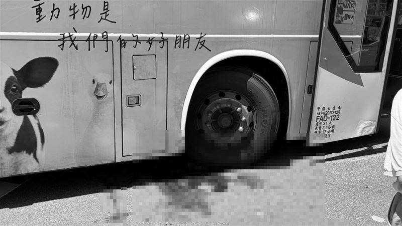 新／新加坡女遊台中　遭客運輾壓命危搶救