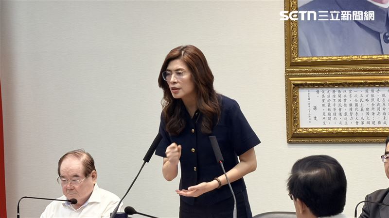 鄭麗文：擔心民進黨憋大招殺個措手不及