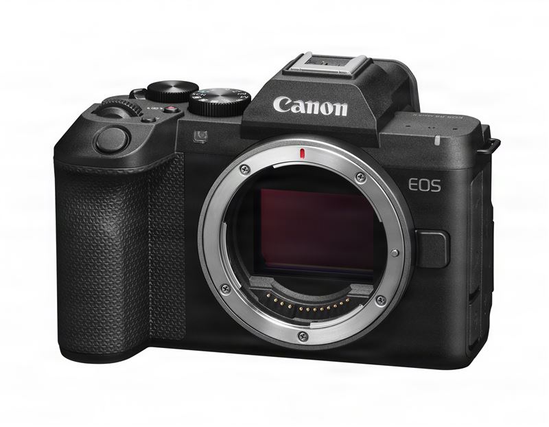 EOS R8 Mark II單機身。(圖/Canon提供)