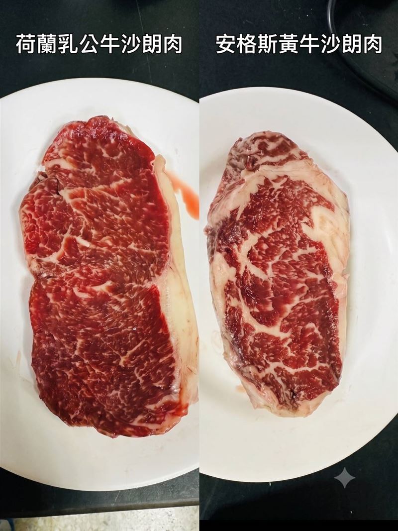 左邊為乳公牛沙朗肉,右邊為安格斯黃牛沙朗肉,右邊顯現較多的油花,增添軟嫩的口感。(圖/農業部提供)