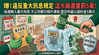 違反重大訊息規定　揚智科技遭重罰5萬！