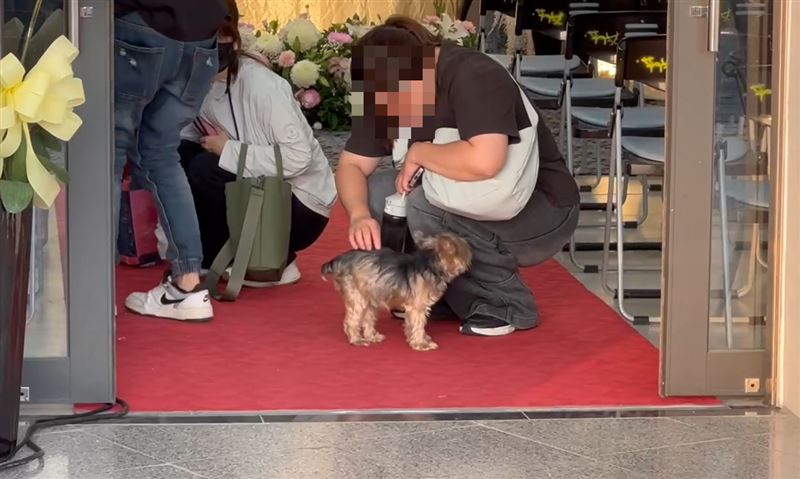 護理師愛犬現身告別式:送主人最後一程